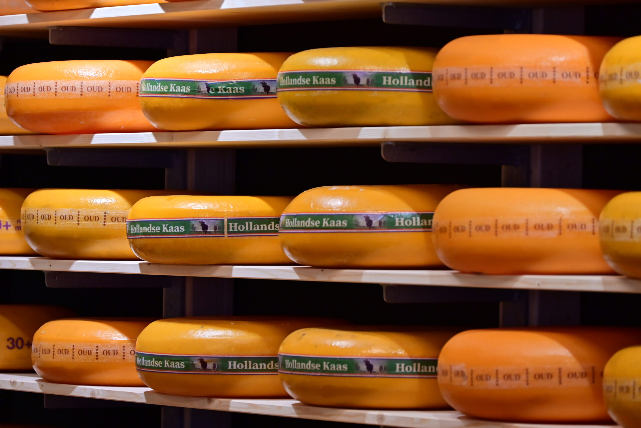 Foto Dakcentrale Nederland